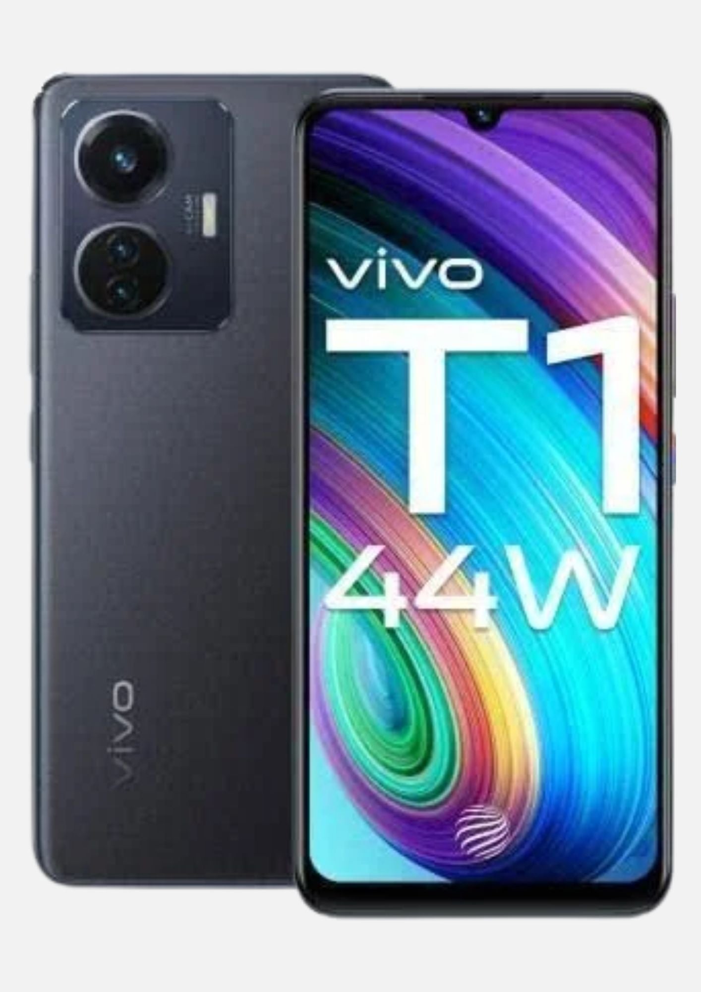 ViVO -T1