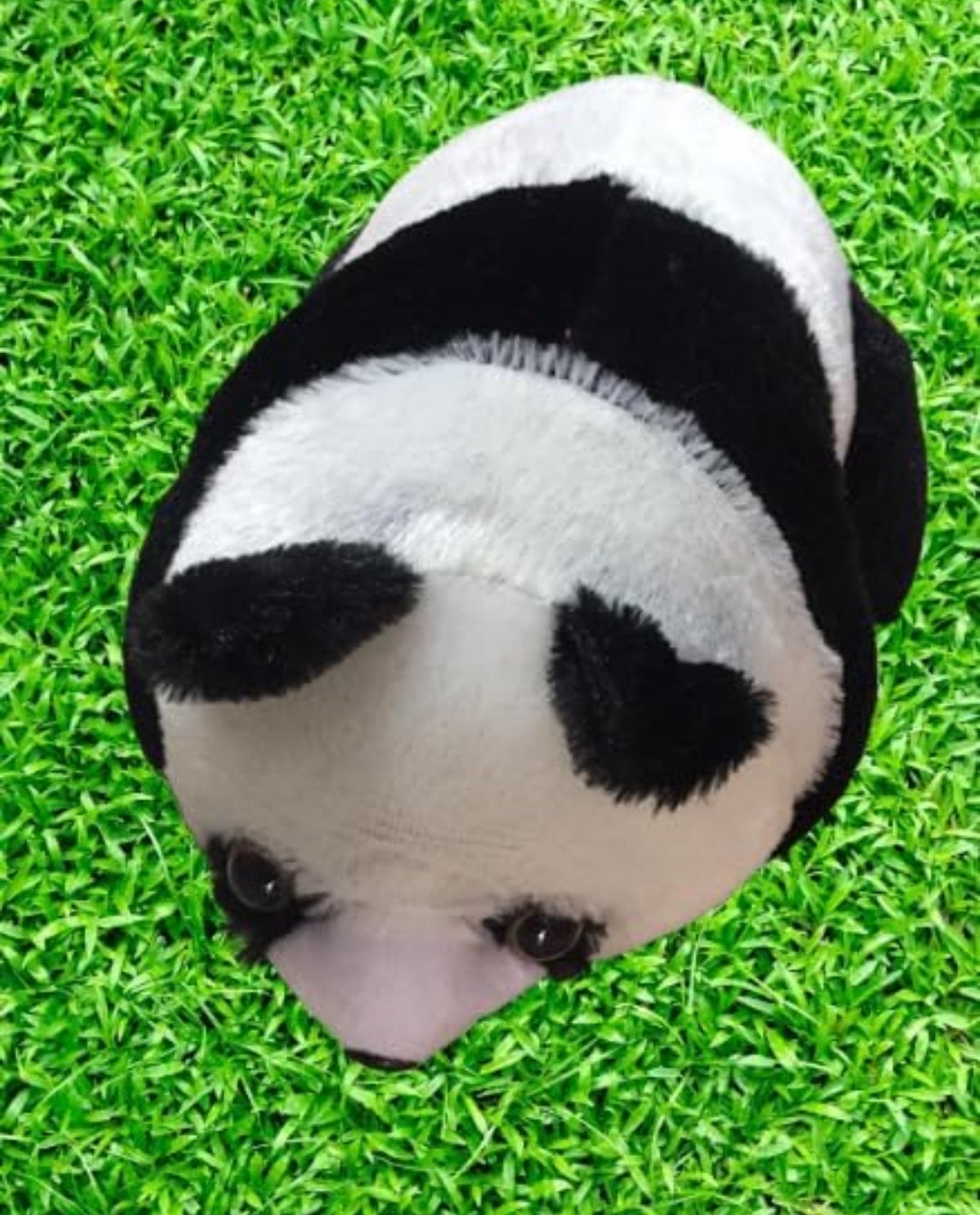 Soft black white Panda teddy bear