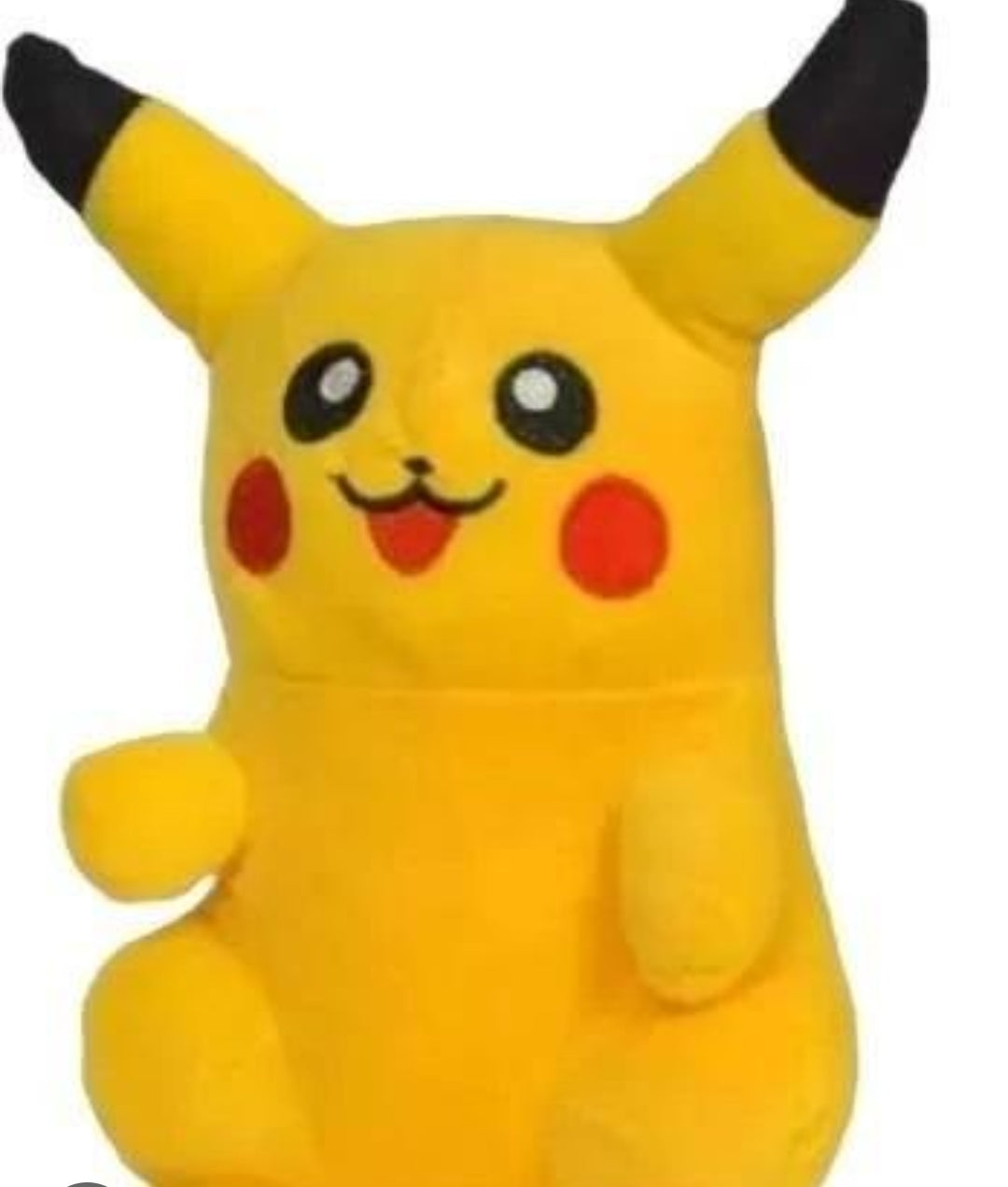 Pikachu teddy