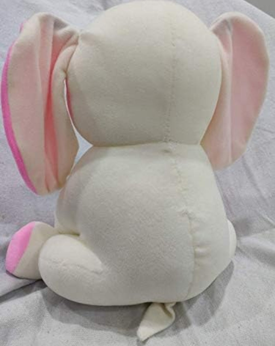 White red baby elephant