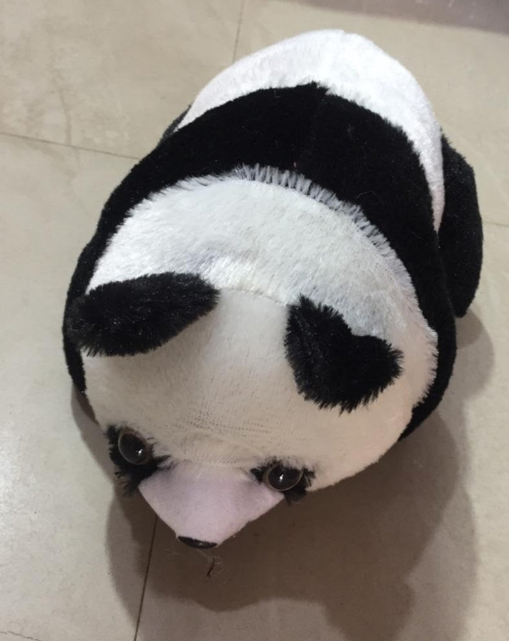 Soft black white Panda teddy bear