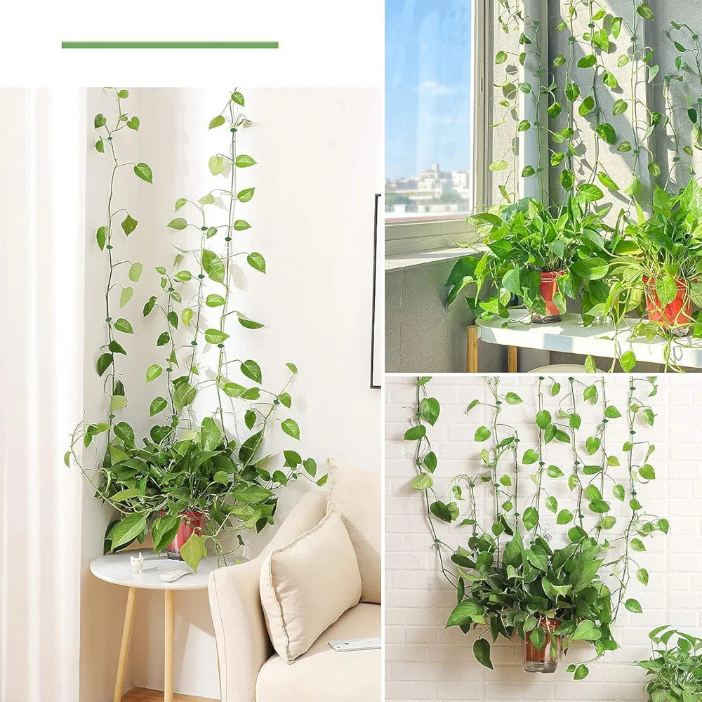 Plant Support for Climbers