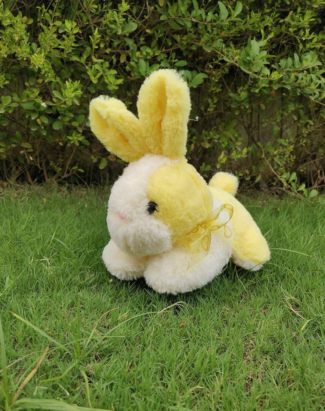 Cute Bunny rabbit yellow white